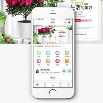 铁山门店微商城小程序开发