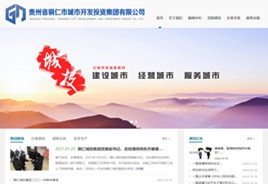 铁山城市开发投资集团有限公司