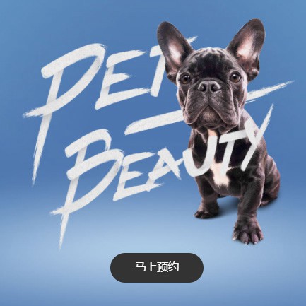 铁山宠物中心小程序开发